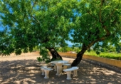 Detached villa with land for sale on España, Ontinyent, ref: TR411825 photo