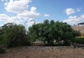 Chalet independiente con terreno en venta en la España, Cájar, ref: TR411831 foto