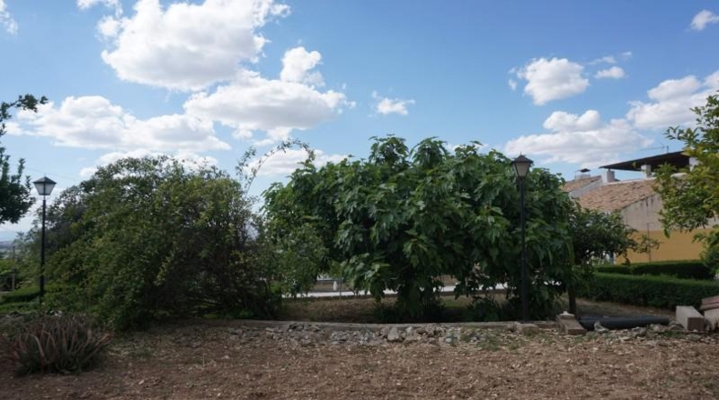 Granada - Cájar - 1105m2