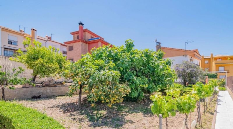 Granada - Cájar - 1105m2