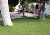 Detached villa with land for sale on España, Chiclana de la Frontera, ref: TR372171 photo