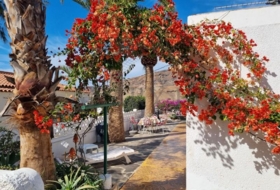 Playa de Mogán 677&nbsp;m²