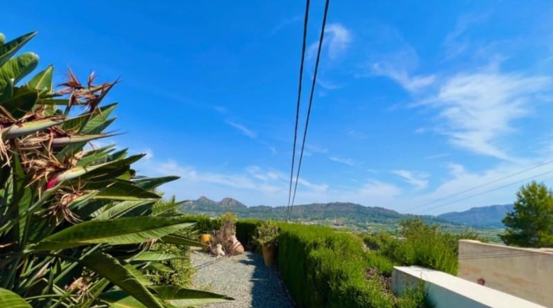Alicante - Pedreguer - 1900m2