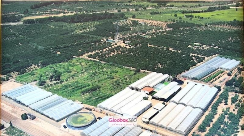Tarragona - Riudoms - 23640m2