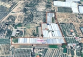 Detached villa with land for sale on España, Riudoms, ref: TR400293 photo