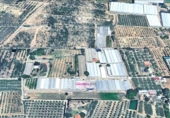 Detached villa with land for sale on España, Riudoms, ref: TR400293 photo