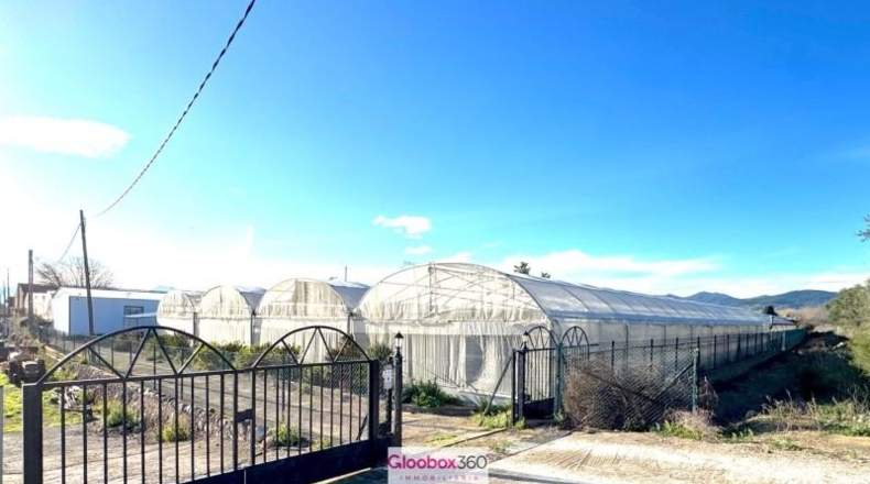 Tarragona - Riudoms - 23640m2