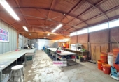 Detached villa with land for sale on España, Riudoms, ref: TR400293 photo