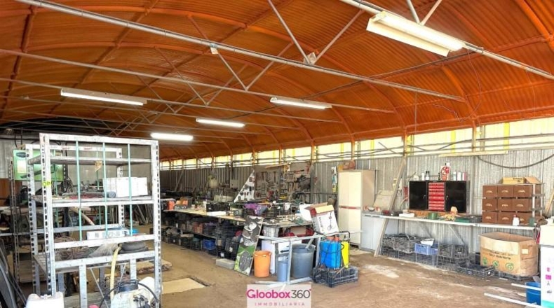 Tarragona - Riudoms - 23640m2
