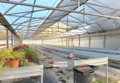 Detached villa with land for sale on España, Riudoms, ref: TR400293 photo