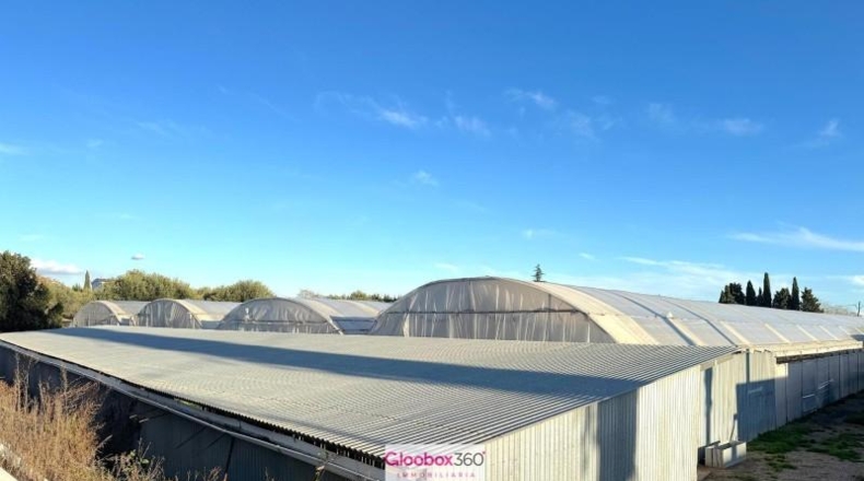 Tarragona - Riudoms - 23640m2