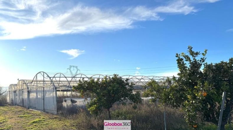 Tarragona - Riudoms - 23640m2
