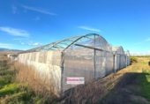 Detached villa with land for sale on España, Riudoms, ref: TR400293 photo