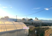 Detached villa with land for sale on España, Riudoms, ref: TR400293 photo