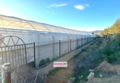 Detached villa with land for sale on España, Riudoms, ref: TR400293 photo