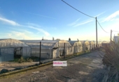 Detached villa with land for sale on España, Riudoms, ref: TR400293 photo