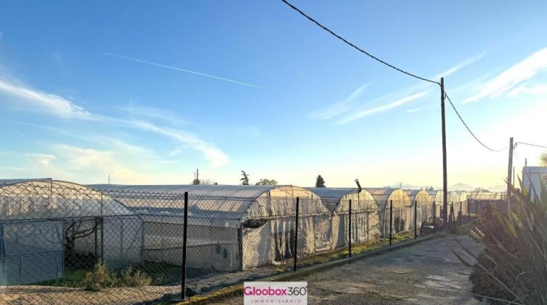 Tarragona - Riudoms - 23640m2