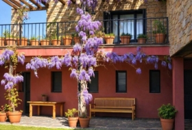 Navalafuente 1650&nbsp;m²