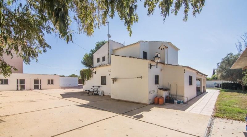 Alicante - Santa Pola - 2000m2