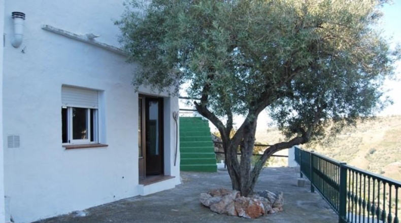 Málaga - Frigiliana - 11000m2