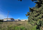 Urban land for sale on España, San Pedro del Pinatar, ref: TR378551 photo