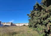 Urban land for sale on España, San Pedro del Pinatar, ref: TR378551 photo
