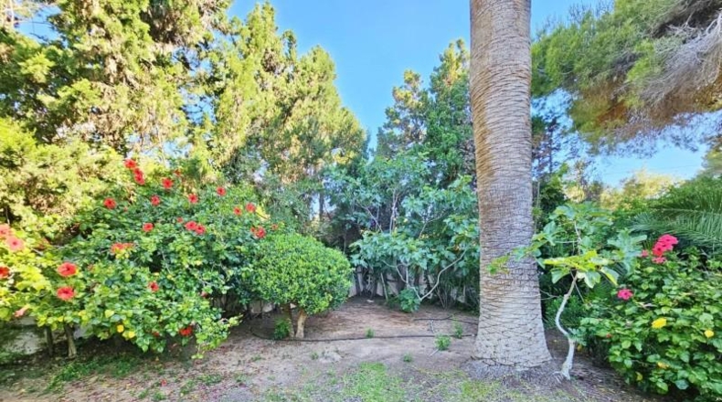 Alicante - Moraira - 600m2