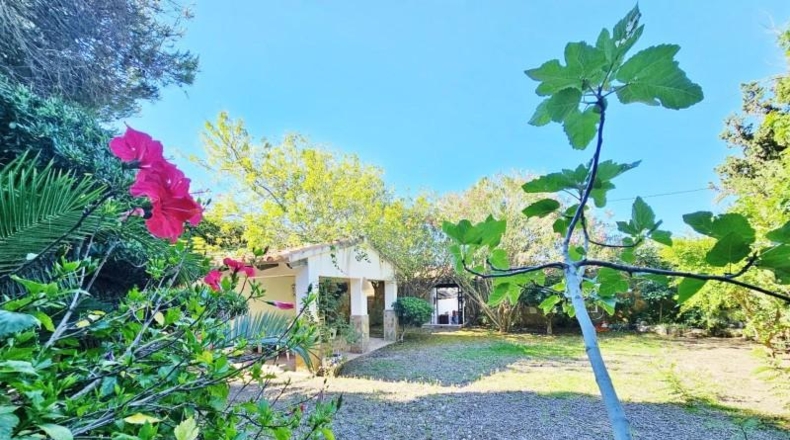 Alicante - Moraira - 600m2
