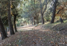 Guadarrama 89645&nbsp;м²