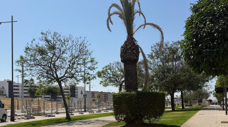 Sevilla - Alcalá de Guadaíra - 86m2