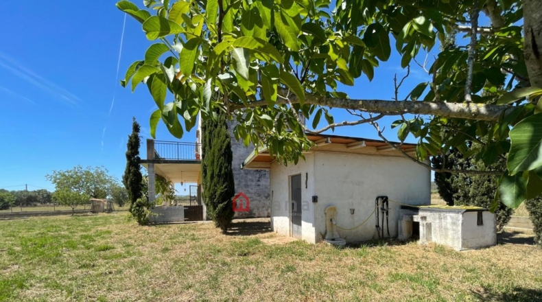 Castellón - Vinaròs - 12281m2