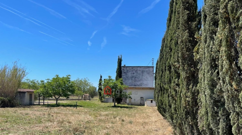 Castellón - Vinaròs - 12281m2
