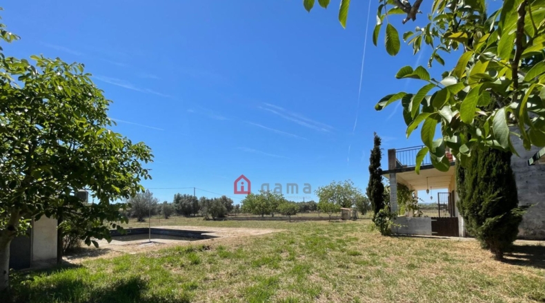 Castellón - Vinaròs - 12281m2