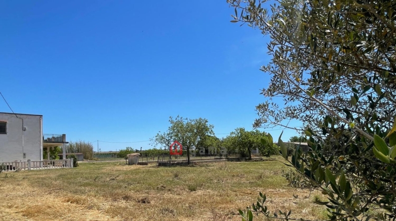Castellón - Vinaròs - 12281m2