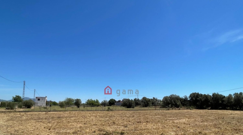 Castellón - Vinaròs - 12281m2