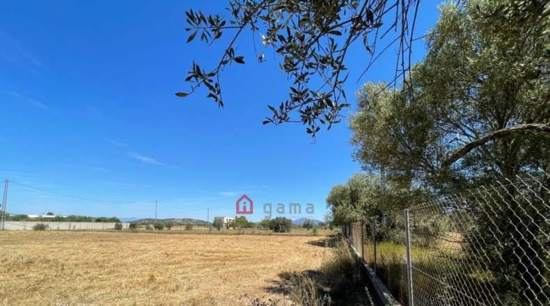 Castellón - Vinaròs - 12281m2