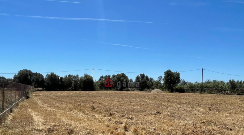 Castellón - Vinaròs - 12281m2