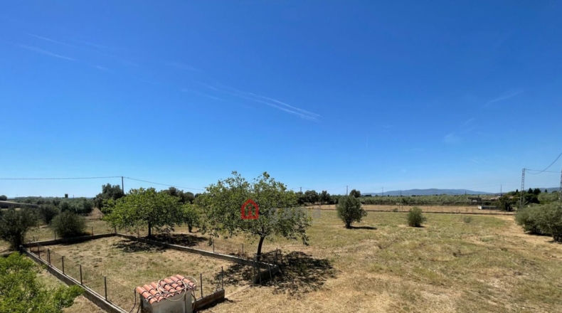 Castellón - Vinaròs - 12281m2