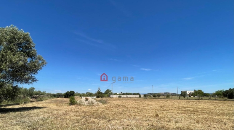 Castellón - Vinaròs - 12281m2