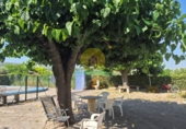 Detached villa with land for sale in Agullent ref: TR411839 photo