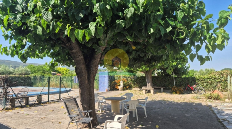Valencia - Agullent - 2443m2