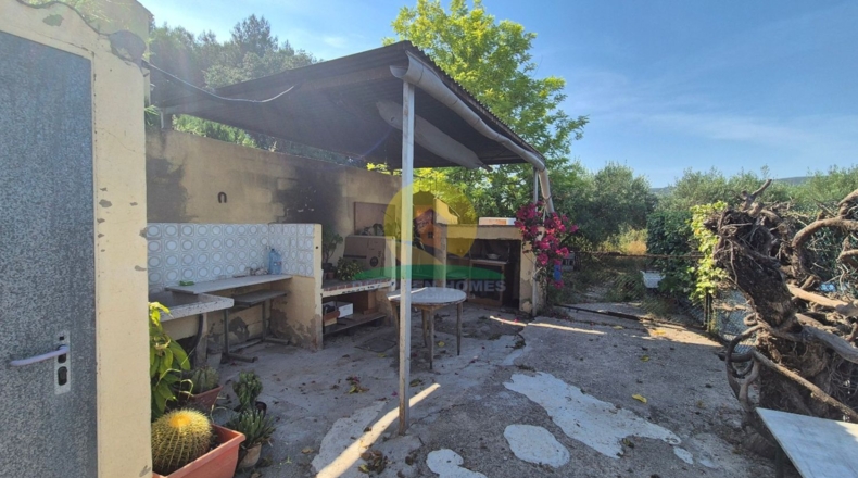 Valencia - Agullent - 2443m2