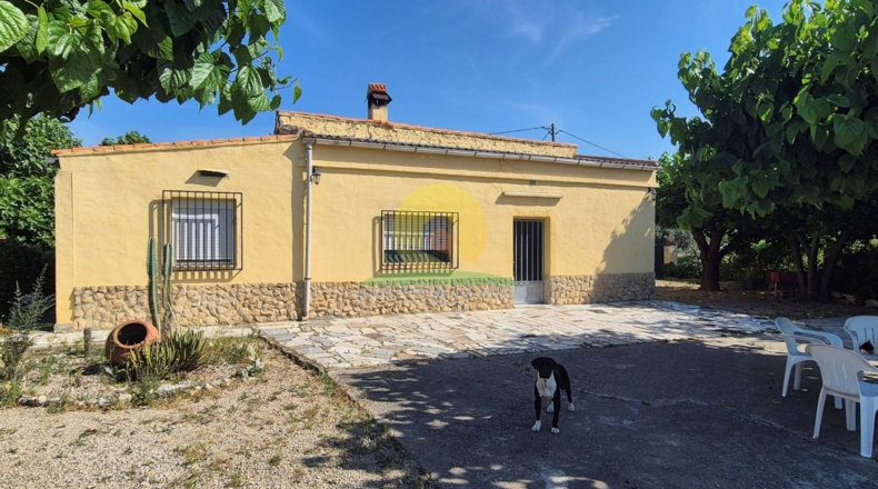 Valencia - Agullent - 2443m2