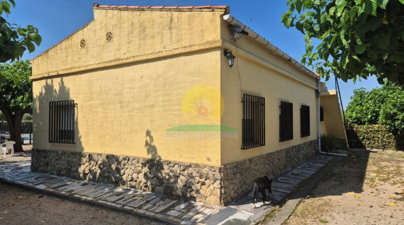 Valencia - Agullent - 2443m2
