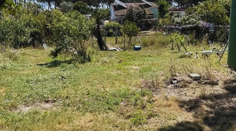 Huelva - Lucena del Puerto - 2700m2