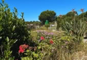 Casa de camp amb terreny en venda a la LUCENA DEL PUERTO, Lucena del Puerto, ref.: TR411851 foto