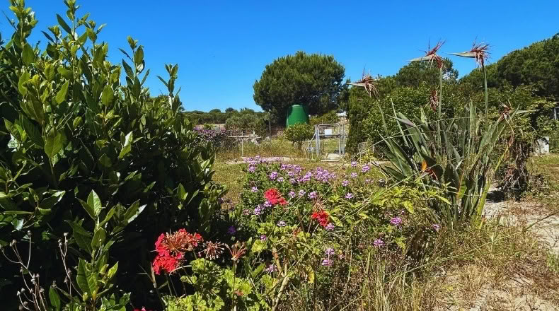 Huelva - Lucena del Puerto - 2700m2