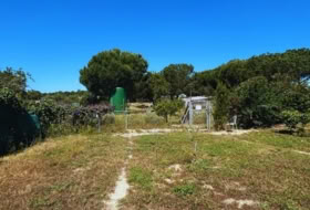 Foto 9