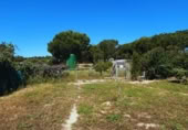 Casa de camp amb terreny en venda a la LUCENA DEL PUERTO, Lucena del Puerto, ref.: TR411851 foto