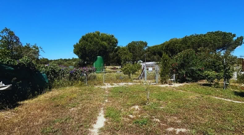 Huelva - Lucena del Puerto - 2700m2